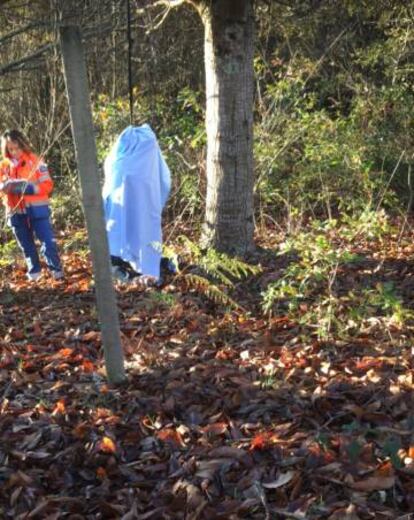 Cadáver de Adrián Eugen Burlacu, tapado con una sábana, en un bosque de robles y castaños en Lestedo.