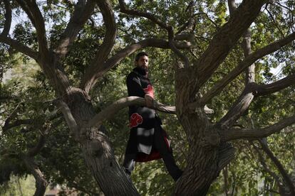 Jorge Hugo Romero, candidato al Parlamento por el Partido Popular Cristiano (PPC), cuenta: "Encontré un marco teórico muy similar entre la política y los animes". En Perú, los 'cosplays' se han colado en la elecciones generales para conquistar el voto otaku de la numerosa comunidad de fanáticos del manga y el anime del país.