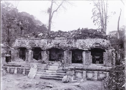 A casa C no Palenque. Em suas andanças pela cidade, Maudslay fez um molde de gesso da escada hieroglífica da Casa C do Palácio, construída pelo governante Pakal no século VII.