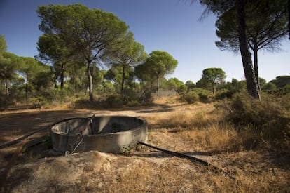 Un pozo ilegal en los alrededores de Doñana.