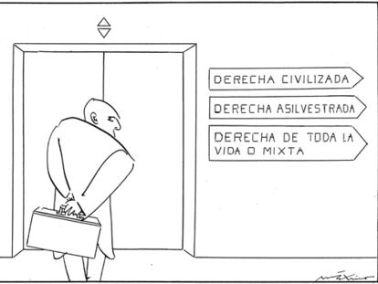 MÁXIMO