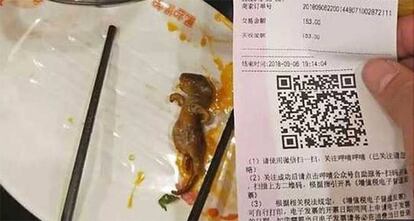 La rata muerta hallada en un restaurante de Xiabu Xiabu's, en un plato.