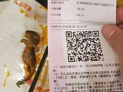 La rata muerta hallada en un restaurante de Xiabu Xiabu's, en un plato.
