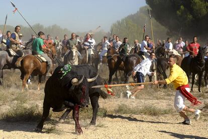 Óscar Bartolomé alancea al toro <i>Afligido.</i>