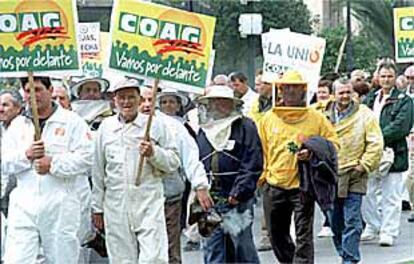 Más de 500 apicultores se manifestaron ayer en Valencia en una protesta que finalizó ante la Consejería de Agricultura.