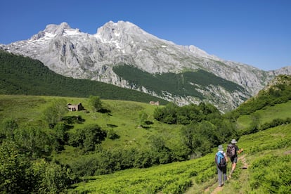 Un sendero hace el Picu Urriellu o Naranjo de Bulnes que parte desde Sotres.