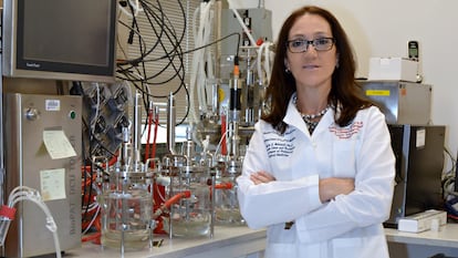 Maria Elena Battozzi, en su laboratorio, en Houston (EE UU).