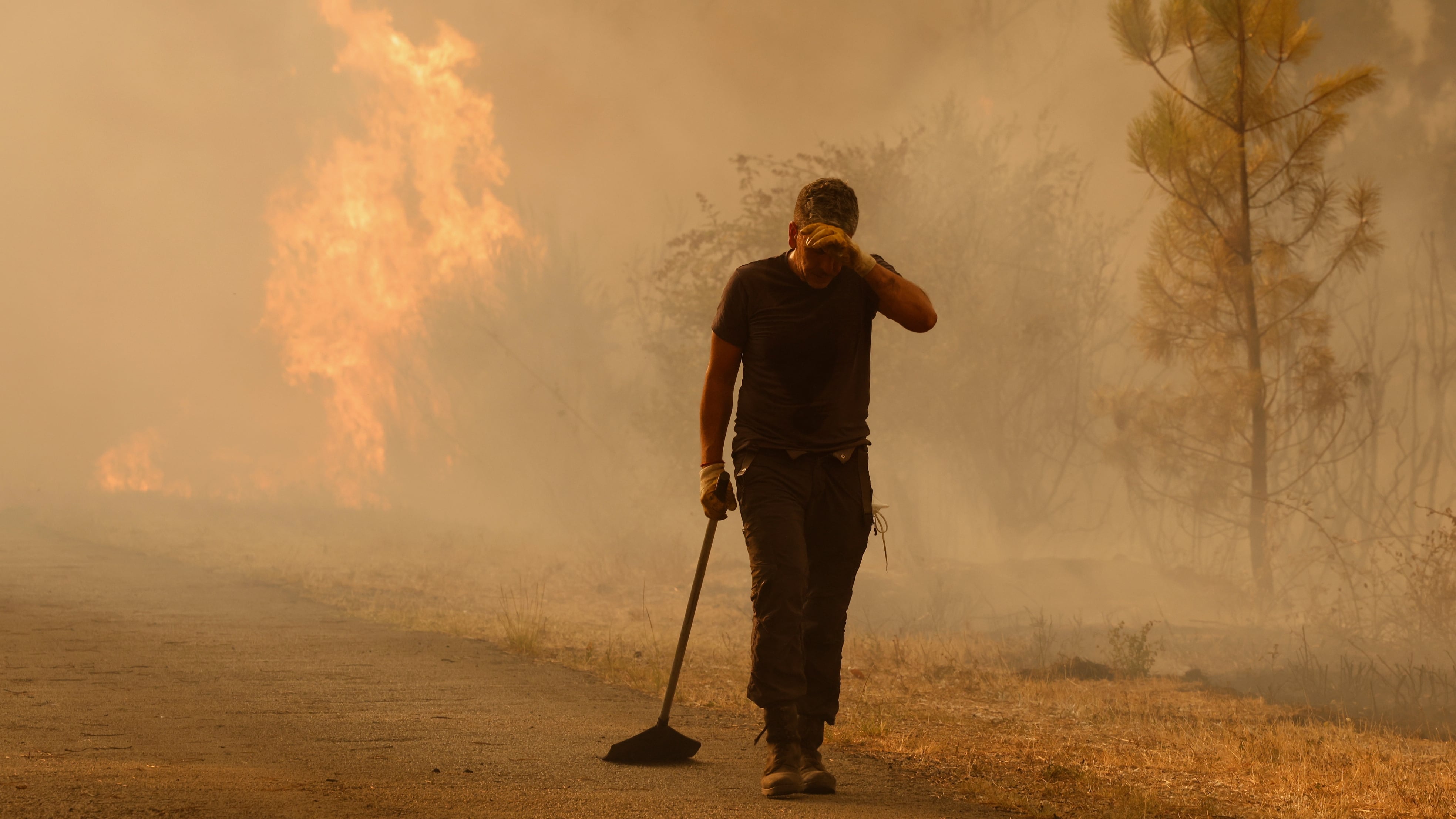 Los incendios se ceban con Zamora, León y Ourense y desbordan a las autoridades