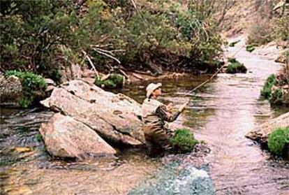 Pescador de truchas en el alto Jarama.