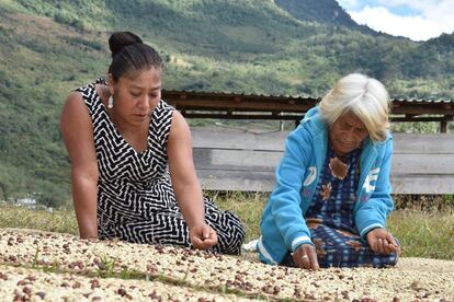 La fotografía que recibió el primer premio es esta, del pueblo zapoteco en México. "Las mujeres indígenas de la mixteca oaxaqueña son pilares en la producción del café, realizan tradicionalmente la cosecha, limpieza y selección de los granos. De sus ventas obtienen el sustento familiar. En sus manos, no solo están marcadas las huellas del trabajo arduo sino también la conservación de sus recursos, cultura e historia; en sus ojos reflejan el amor por la tierra, este mismo amor que debe ser conservado y transmitido a las nuevas generaciones".