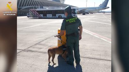 Un guardia civil en tareas de vigilancia en el aeropuerto de Loiu (Bizkaia).