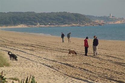 Varias personas pasean hoy con sus perros en el lugar donde se ha localizado el cuerpo, en la playa Large de Tarragona.