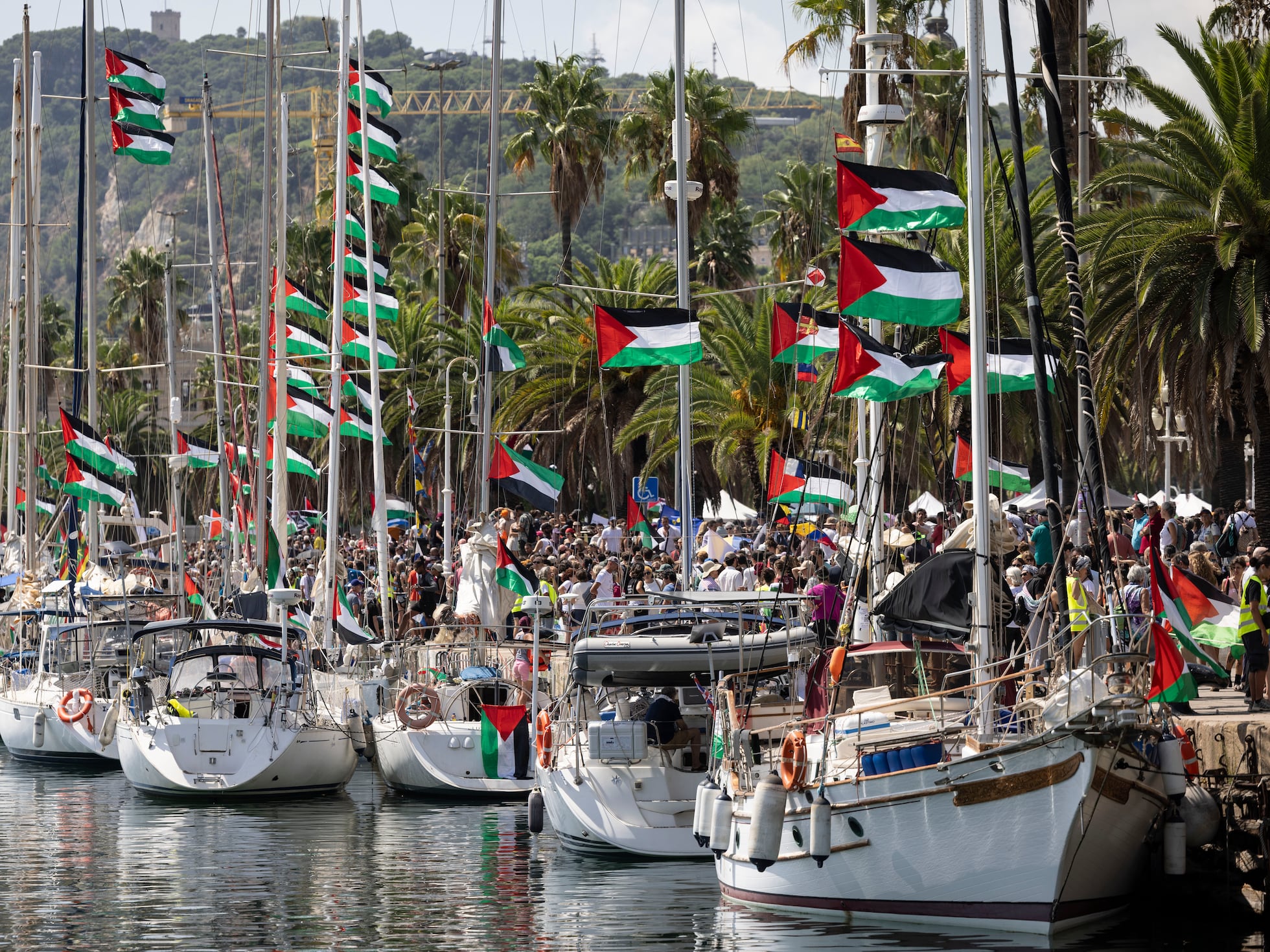 La flotilla a Gaza y lo “woke” | Noticias de Cataluña | EL PAÍS