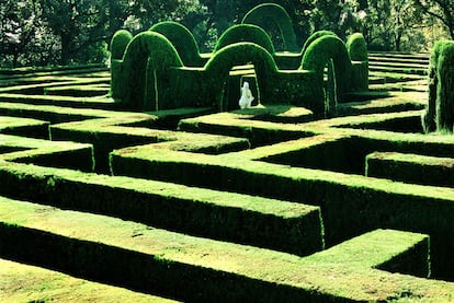 El dédalo vegetal del parque del Laberint del barrio de Horta.