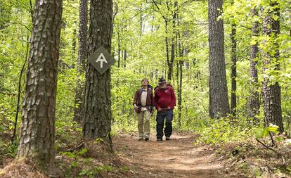 Robert Redford y Nick Nolte en 'Un paseo por el bosque' (2015), de Ken Kwapis. 