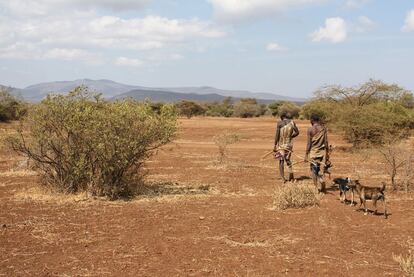 Bembros da etnia hadza