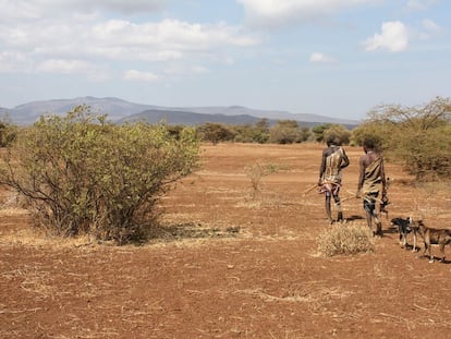 Bembros da etnia hadza