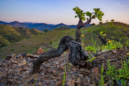 Comarca de Priorat