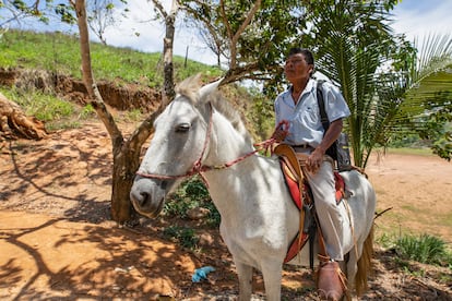 Santiago Figueroa, de 68 años, monta su caballo en Salitre. “Estoy en contra de la violencia y contento de convivir con agricultores no indígenas”.