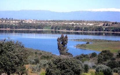 Complejo tur&iacute;stico Marina Isla de Valdeca&ntilde;as (C&aacute;ceres), levantado en una zona protegida por la Red Natura 2000.