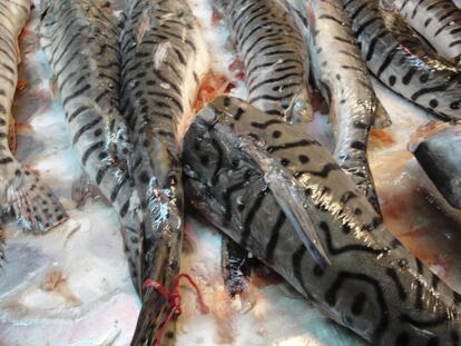 Un paseo por la ignorancia