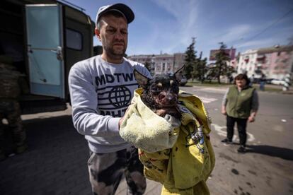 Un hombre sostiene a un perro herido durante el ataque en Kramatorsk. La ciudad está situada a solo una veintena de kilómetros de Sloviansk, punto clave en el corredor militar que Moscú quiere establecer desde Járkov hacia Donbás.