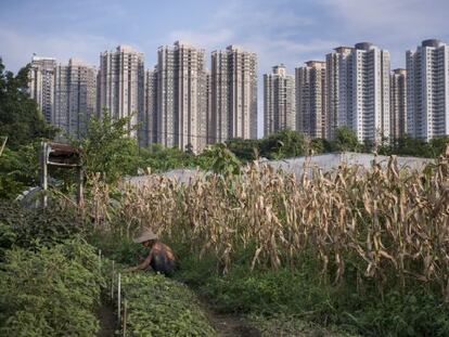 Edificios del pueblo de Fanling, vistos desde la granja comunitaria de Mapopo.