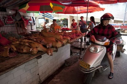 Preparativos do Festival anual da carne de cachorro em Yulin.