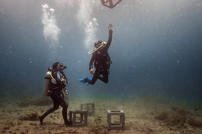 Divers in action. Two local divers place concrete pieces off the coast of Jameluk, east of Bali, which are part of a coral recovery project. Artificial structures can vary in materials and dimensions to create refuges for marine fauna.