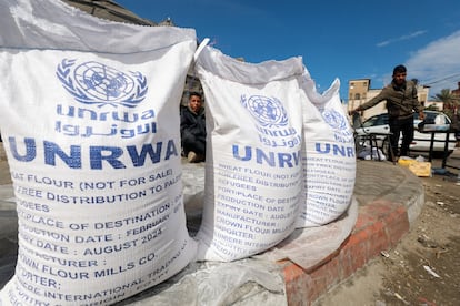 Zona de reparto de ayuda alimenticia suministrada por la UNRWA en Rafah, al sur de la franja de Gaza.