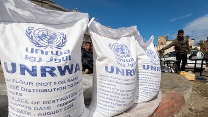 Zona de reparto de ayuda alimenticia suministrada por la UNRWA en Rafah, al sur de la franja de Gaza.