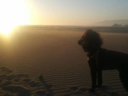 Kahlo na praia de Ocean Beach.