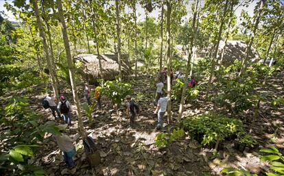 Miembros del proyecto Ecosia y agricultores plantando árboles en Perú.