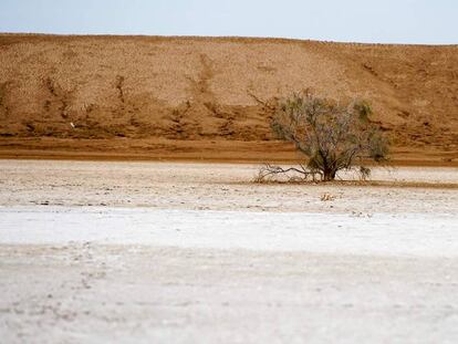 Fragmento do documentário 'Os desertos de Sonora'