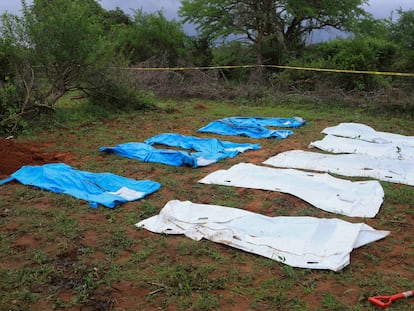 Bolsas para la exhumación de cuerpos en el bosque de Shakahola (Kilifi, al este de Kenia), este sábado.