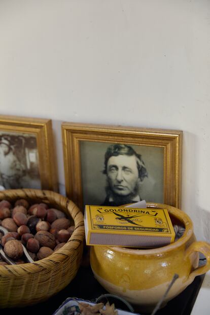 Panteoncito de héroes privados en la cocina, con los retratos de Thoreau y Dersú Uzalá junto a las cerillas de La Golondrina o el cestillo indígena con nueces.