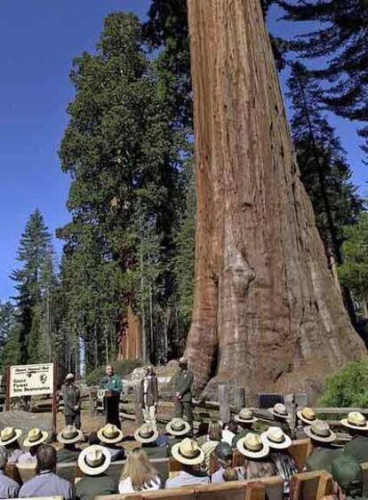 Acto oficial del presidente Bush en el Parque Nacional de las Secuoyas (California) en 2001.