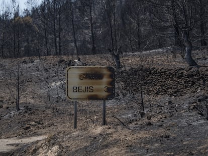 20/08/2022 Vegetación y cartel de Bejís calcinados, a 20 de agosto de 2022, en Bejís, Castellón, Comunidad Valenciana, (España).  La evolución del incendio forestal declarado el pasado lunes en la comarca del Alto Palancia ha entrado en una fase "crítica" por el viento, el aumento de temperaturas y el descenso de la humedad. Una columna de humo ha alertado sobre fuego en el municipio de Altura, Castellón. En este incendio forestal que ha afectado desde Alcublas hasta las poblaciones de Bejis, Teresa, Toras y Altura trabajan 36 medios aéreos de la Generalitat valenciana y del Ministerio de Transición Ecológica.
SOCIEDAD 
Jorge Gil - Europa Press
