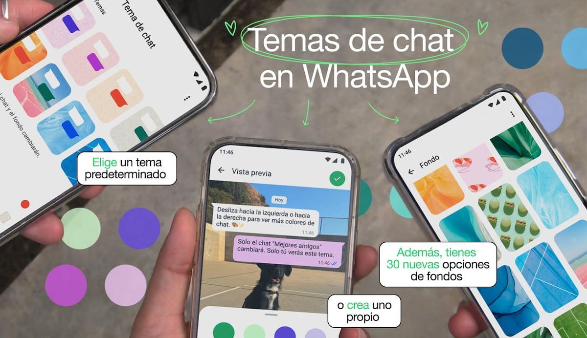 Wapluz Whatsapp