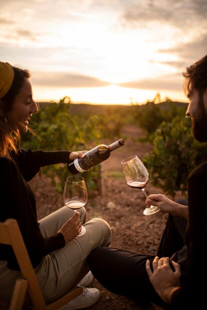 Creado en Pago del Cielo, en el campo de Peñafiel (Valladolid), Celeste Crianza es ideal para degustar en buena compañía.