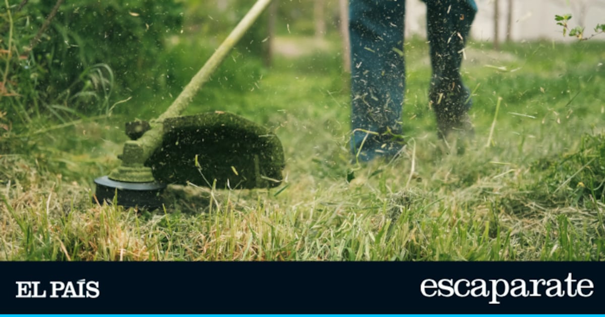 Estas son las mejores desbrozadoras eléctricas de Amazon del 2026 (y al mejor precio)