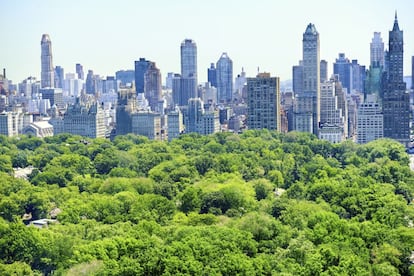 Paseos literarios, circuitos de 'running', jardines europeos, bosques, paseos en góndola, observatorios de aves y hasta pingüinos. Central Park, el jardín particular de los neoyorquinos, Central Park es una de las visitas obligadas para todo el que pasa por Nueva York. Más de tres kilómetros cuadrados de prados, estanques y bosques diseñados a mediados del siglo XIX por Frederick Law Olmsted y Calvert Vaux, y resultado de un ingente trabajo de ingeniería: miles de obreros transportaron millones de cargas de tierra para transformar un terreno cenagoso y rocoso en el oasis actual.