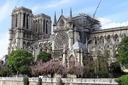 La catedral de Notre Dame de París