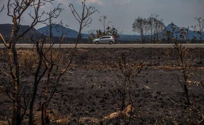 Paisagem destru&iacute;da pelo fogo na Chapada dos Veadeiros.