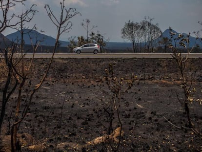 Paisagem destru&iacute;da pelo fogo na Chapada dos Veadeiros.