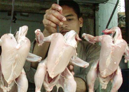 Un vendedor exhibe pollos sacrificados, hoy en un mercado de Karachi (Pakistán).