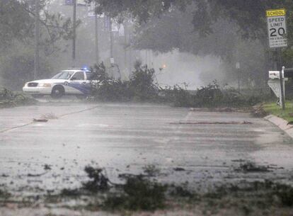 Árboles caídos por el fuerte viento en una avenida de Nueva Orleans.