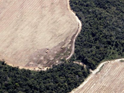 Zonas de selva convertidas en cultivos rodean la Amazonia todavía virgen en el Estado de Mato Grosso (Brasil).