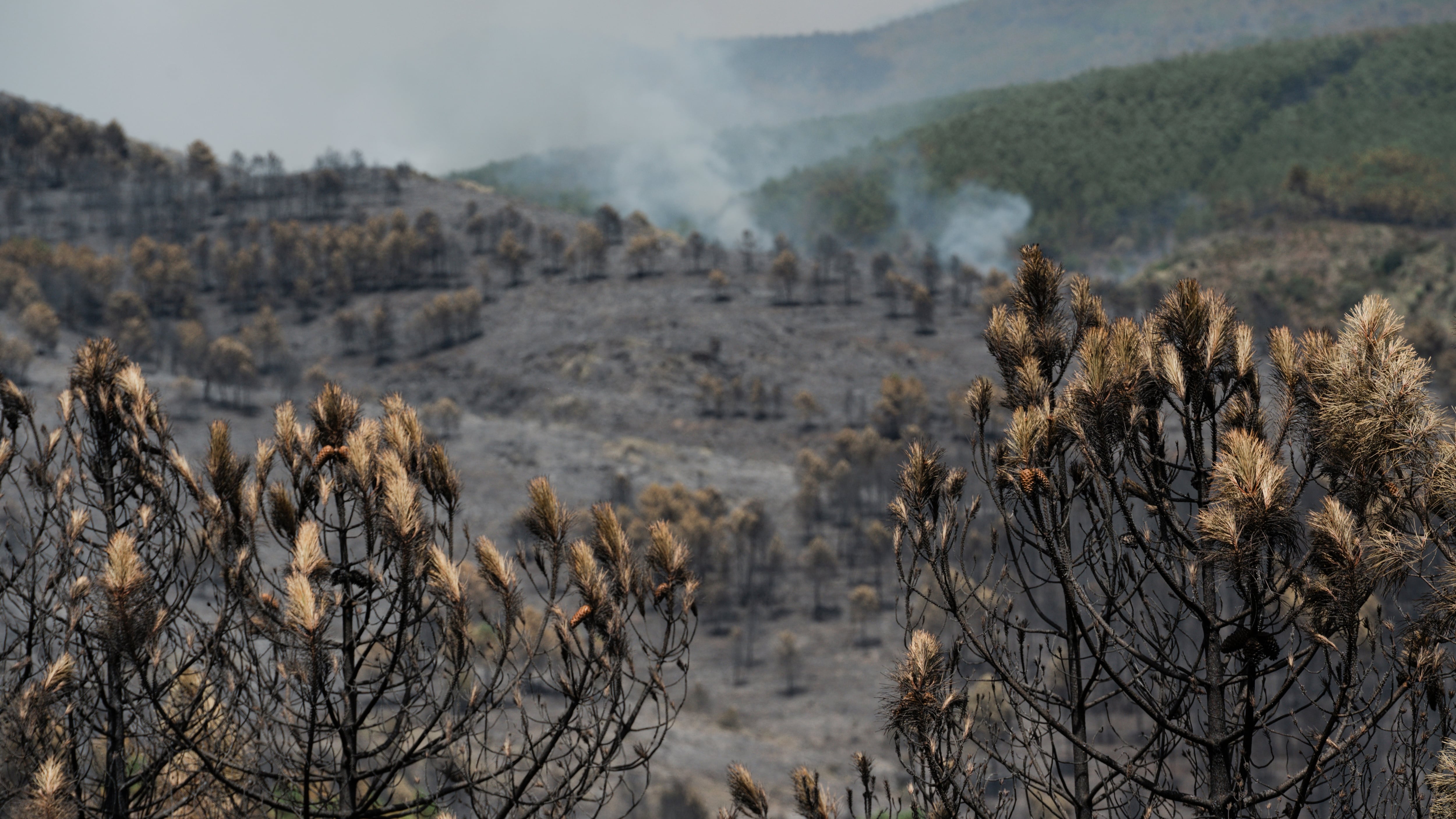 El incendio de La Mierla suma 9.000 hectáreas afectadas y 700 evacuados en 16 municipios