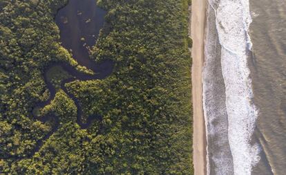 A região do Rio Verde é considerada o coração da Estação Ecológica Jureia-Itatins